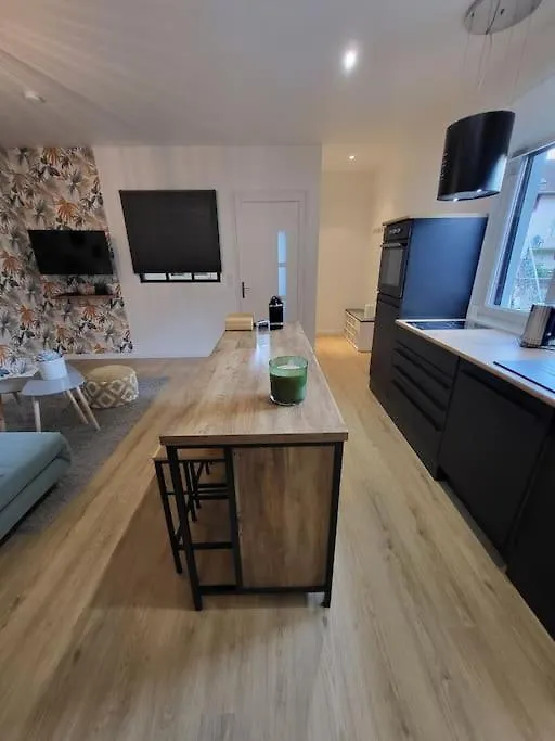 Appartement T2 Frangy צרפת